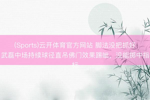 (Sports)云开体育官方网站 脚法没把抓好！武磊中场持续球径直吊佛门效果踢呲，没能掷中指标