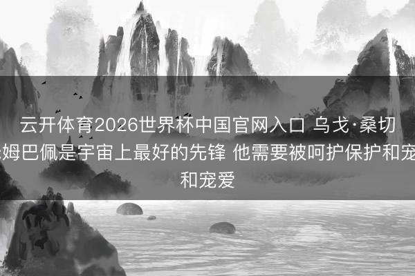 云开体育2026世界杯中国官网入口 乌戈·桑切斯:姆巴佩是宇宙上最好的先锋 他需