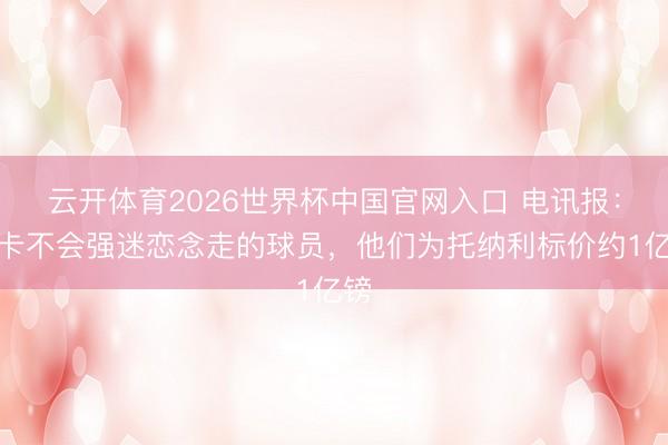 云开体育2026世界杯中国官网入口 电讯报：纽卡不会强迷恋念走的球员，他们为托纳利标价约1亿镑