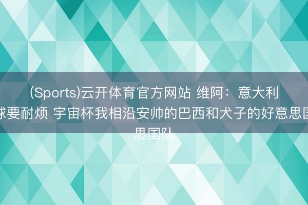 (Sports)云开体育官方网站 维阿：意大利足球要耐烦 宇宙杯我相沿安帅的巴西和犬子的好意思国队