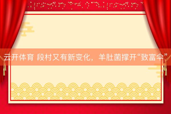 云开体育 段村又有新变化，羊肚菌撑开“致富伞”